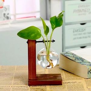 Table top plant propagation stand